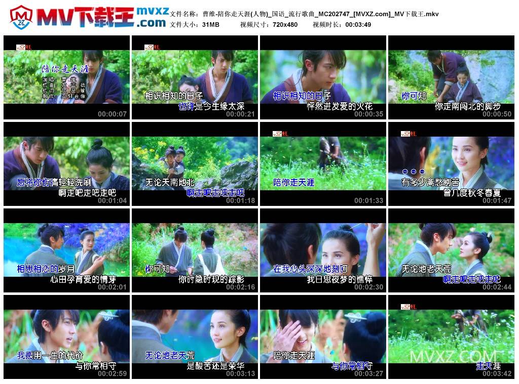 曹维-陪你走天涯(人物)_国语_流行歌曲_MC202747